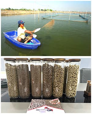 fish farm fish feed